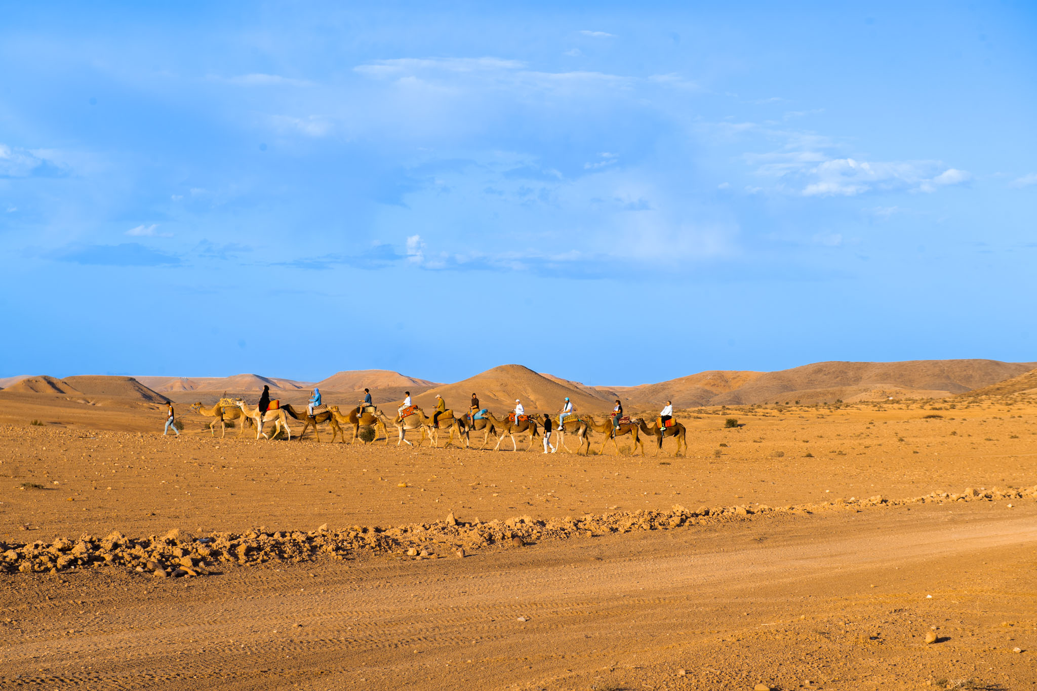 Balade en Dromadaire au Desert dAgafay 6